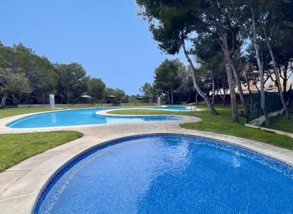 Herverkoop - Apartment - Cabo Roig