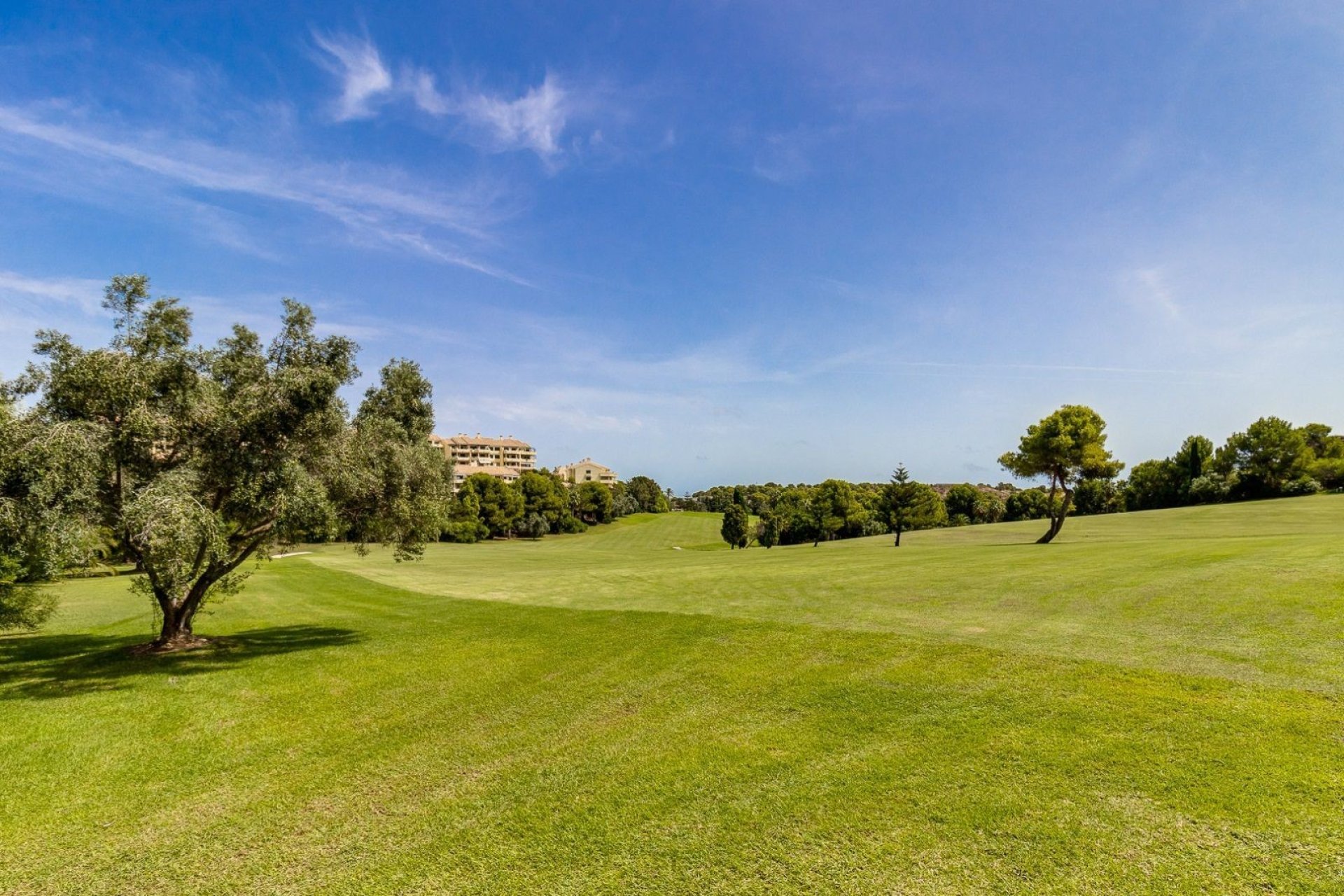 Herverkoop - Apartment - Campoamor