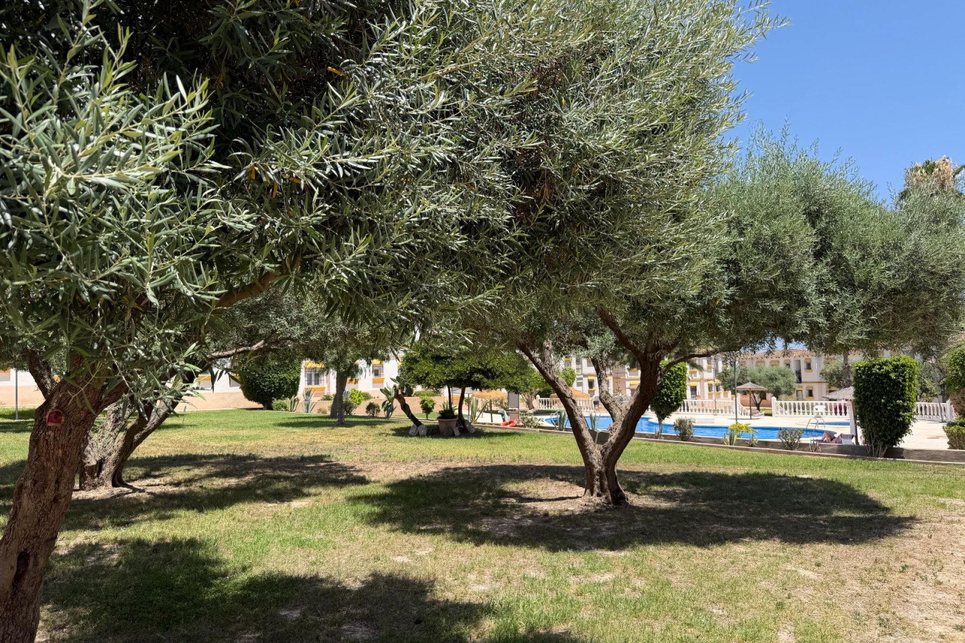 Herverkoop - Apartment - Orihuela Costa - Blue Lagoon