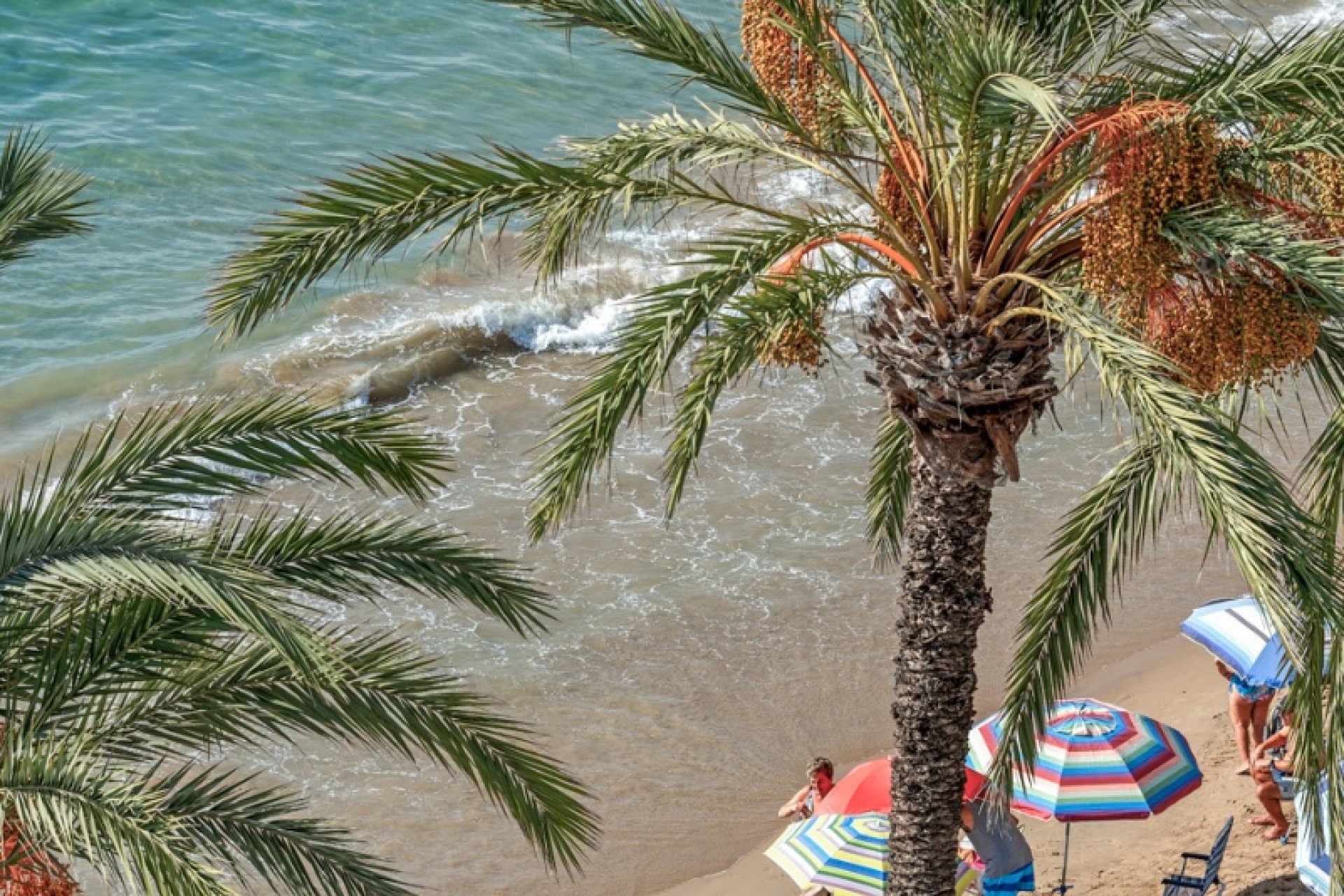 Herverkoop - Apartment - Torrevieja