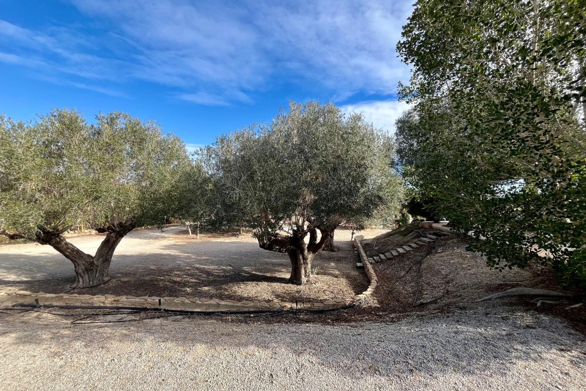 Herverkoop - country house - El Esparragal