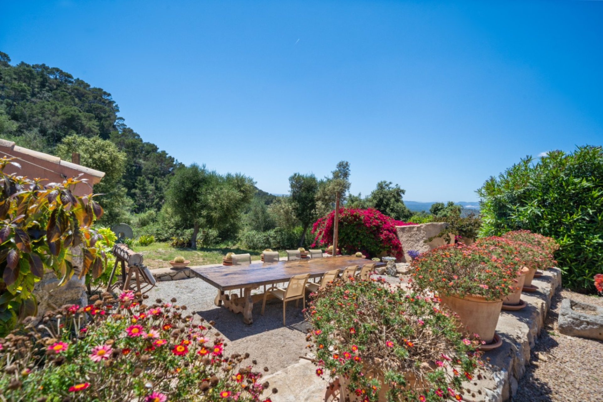 Herverkoop - Finca / Country House - Felanitx - Mallorca