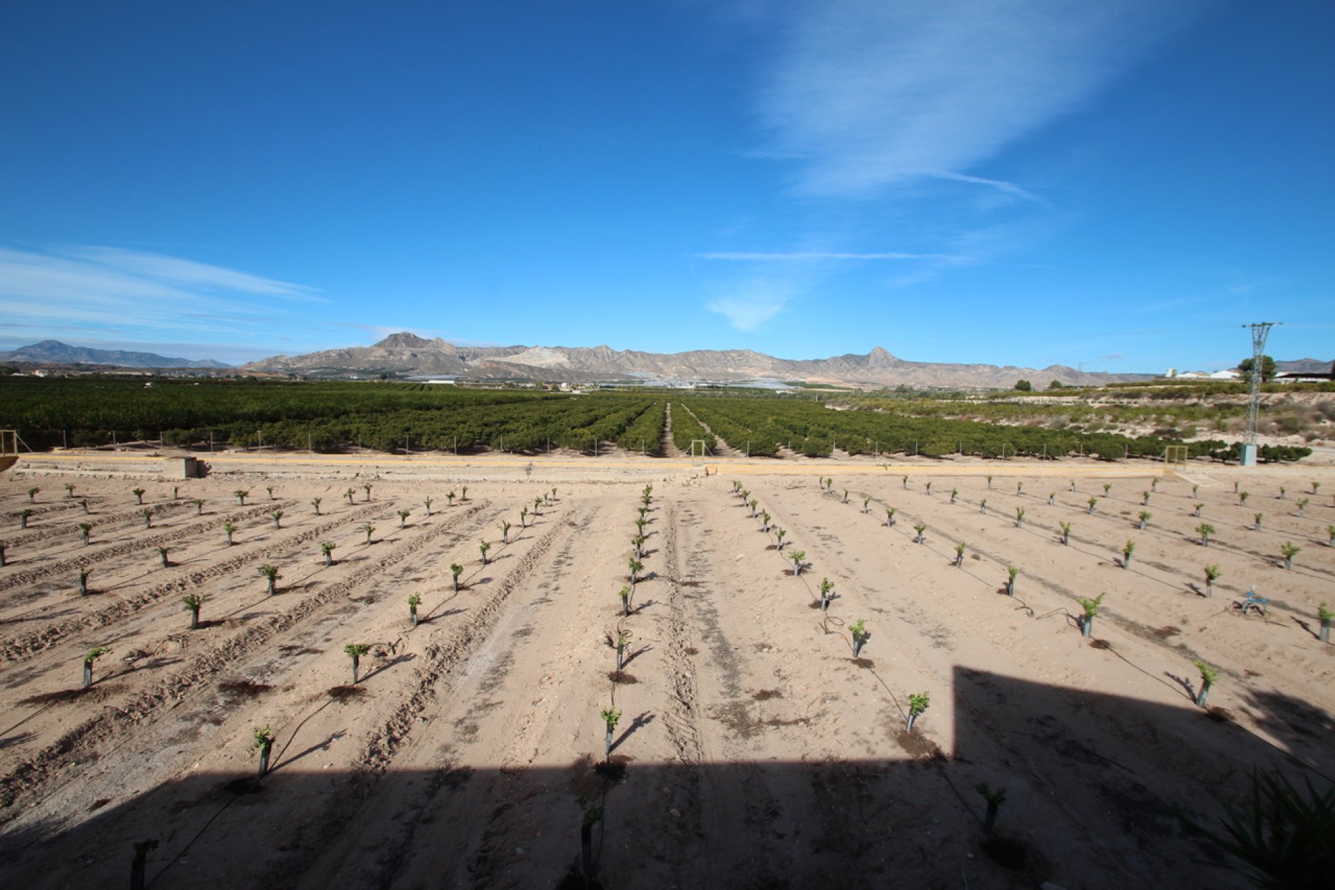Herverkoop - Finca / Country House - Murcia - Costa Blanca Sur