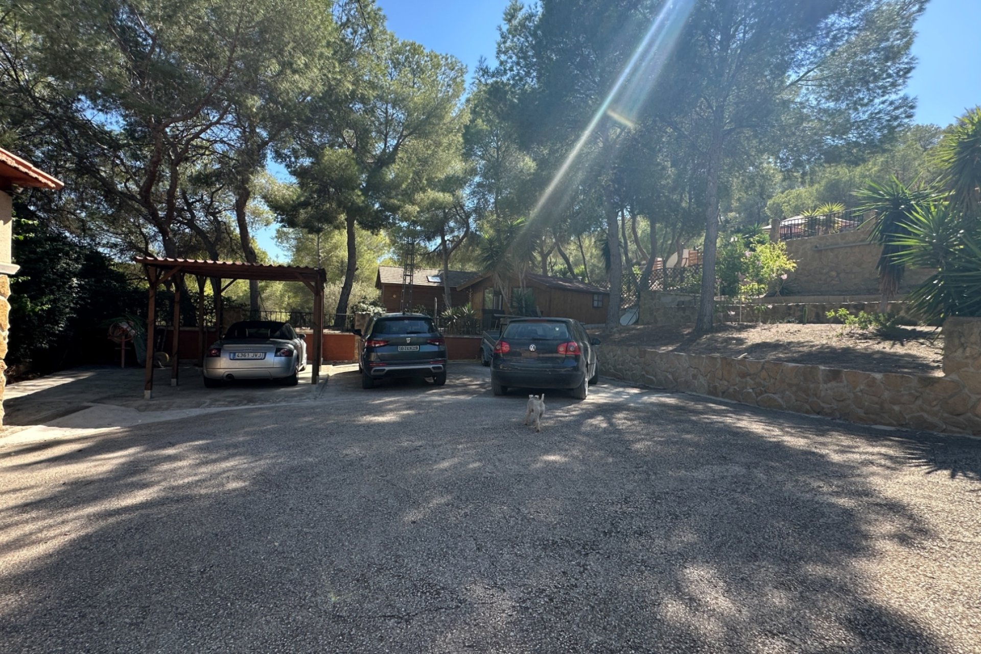 Herverkoop - Finca / Country House - San Miguel de Salinas - Costa Blanca Sur