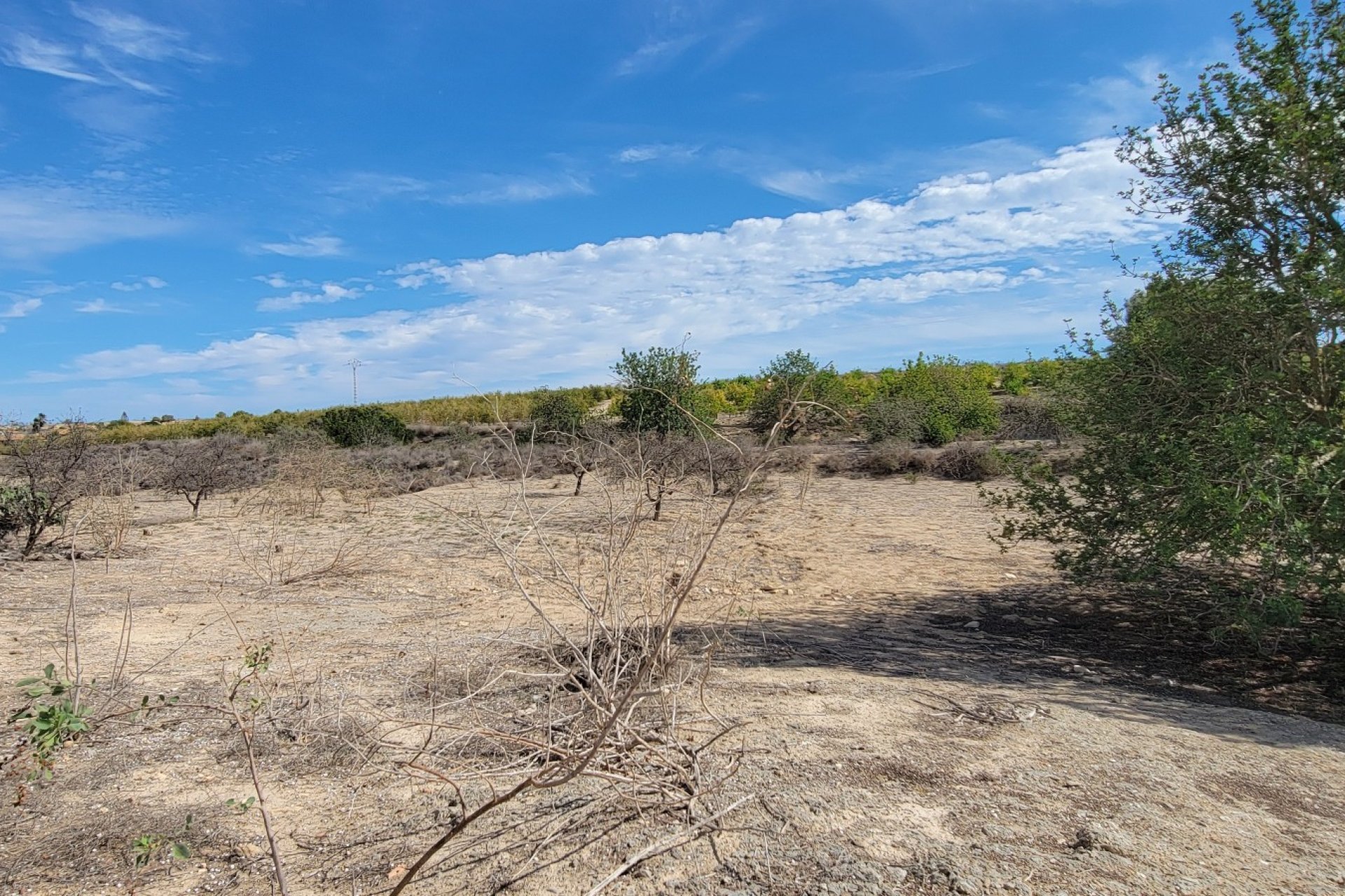 Herverkoop - Finca / Country Property - San Miguel de Salinas