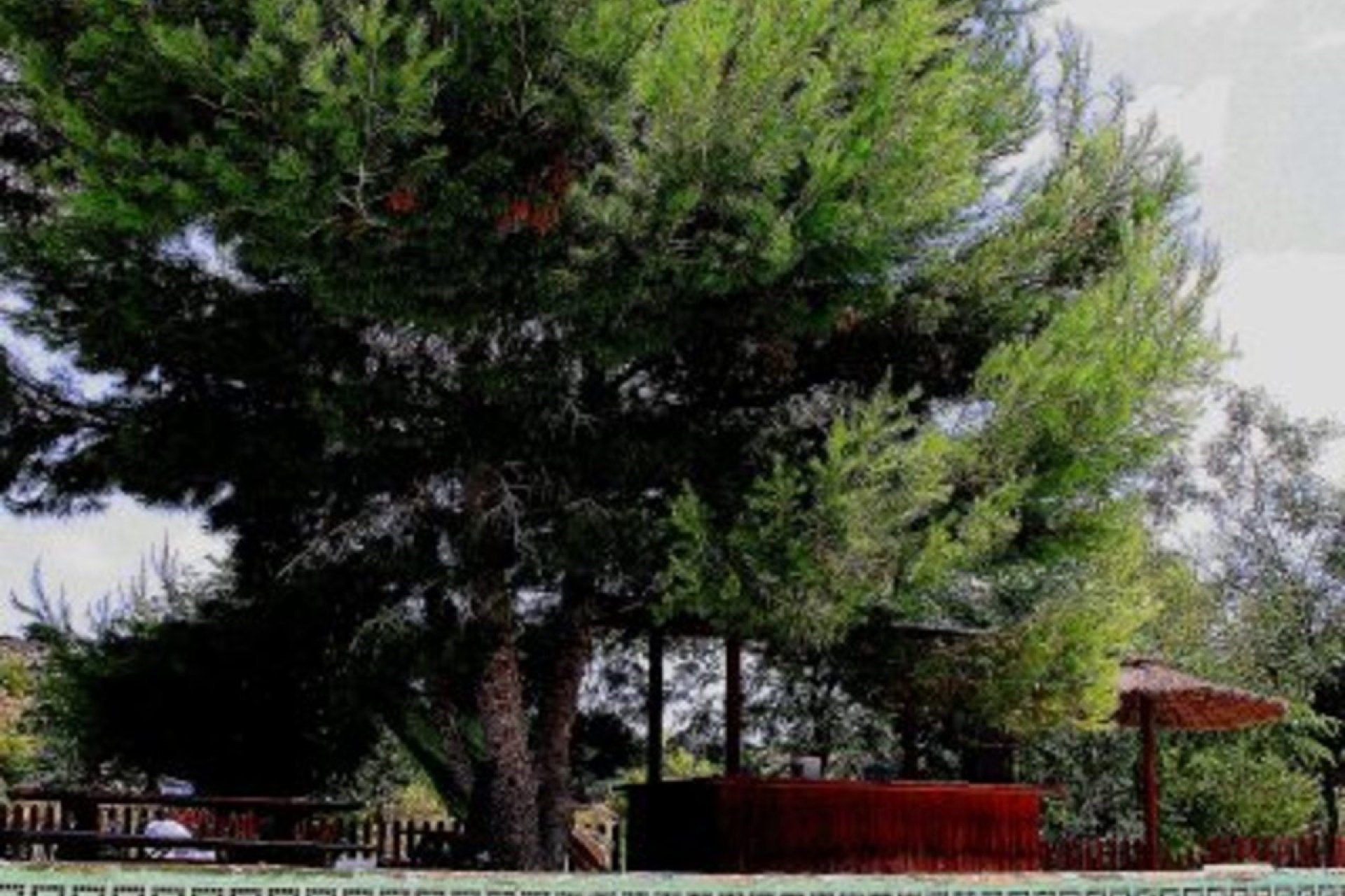 Herverkoop - finca - Gea Y Truyols