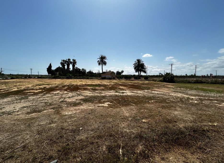 Herverkoop - Perceel / Grond - San Miguel de Salinas - San Miguel Salinas