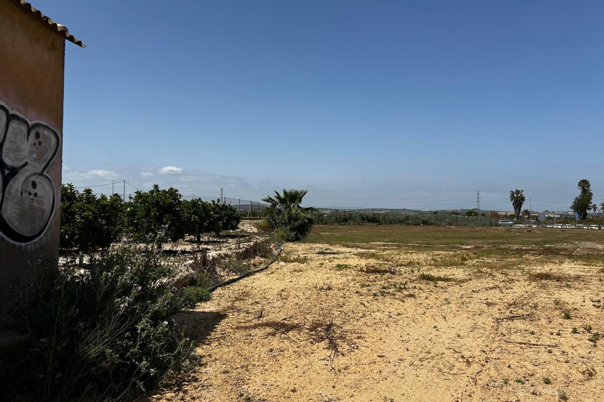 Herverkoop - Perceel / Grond - San Miguel de Salinas - San Miguel Salinas