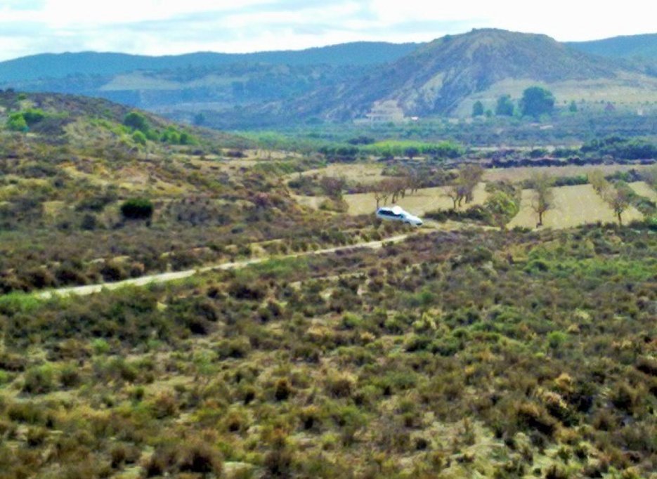 Herverkoop - Perceel / Grond - Torremendo