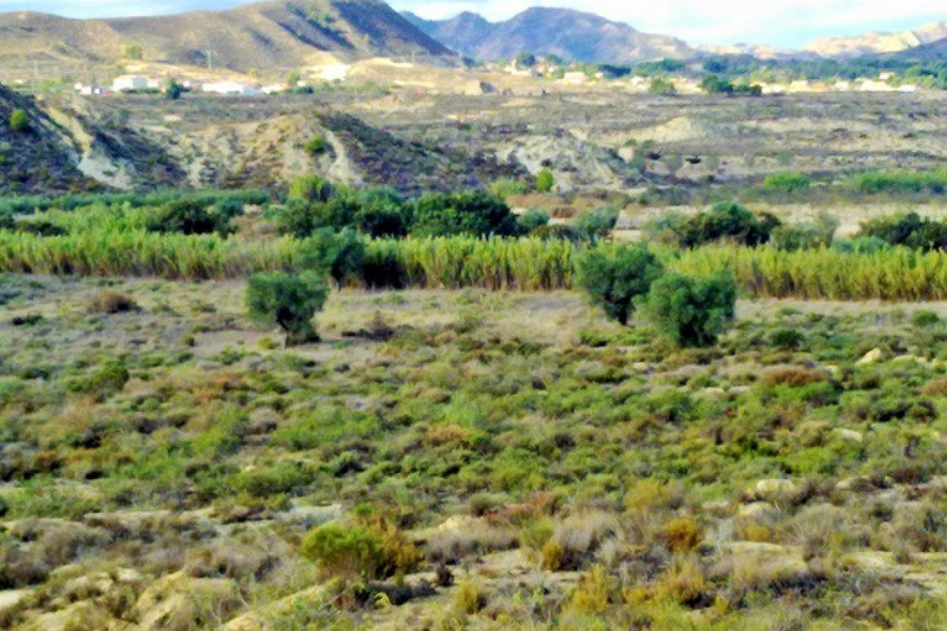 Herverkoop - Perceel / Grond - Torremendo