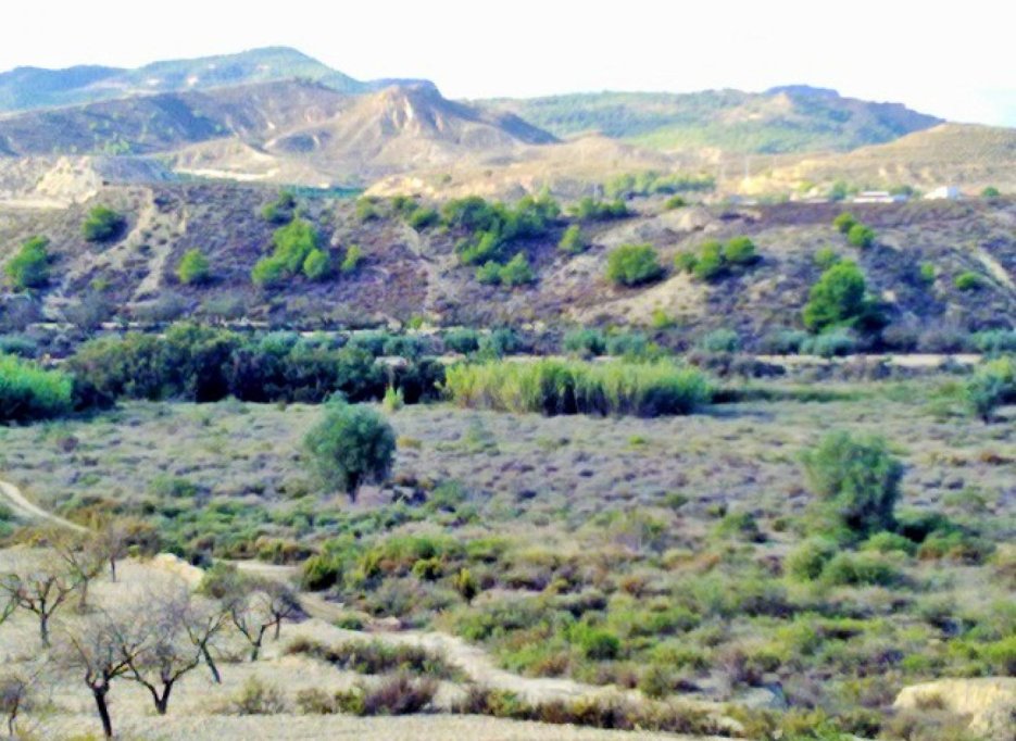 Herverkoop - Perceel / Grond - Torremendo