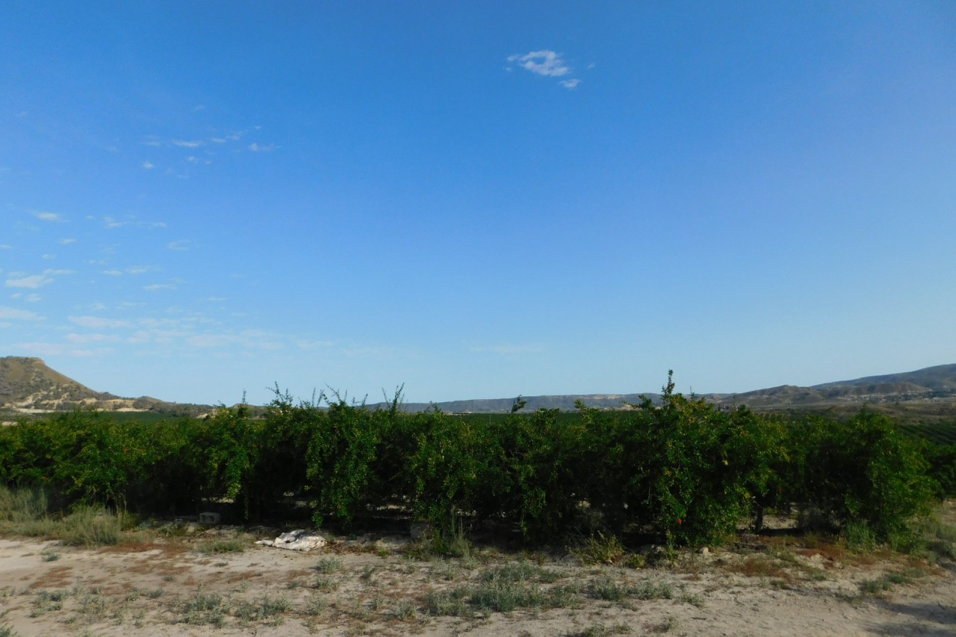 Herverkoop - Perceel / Grond - Torremendo