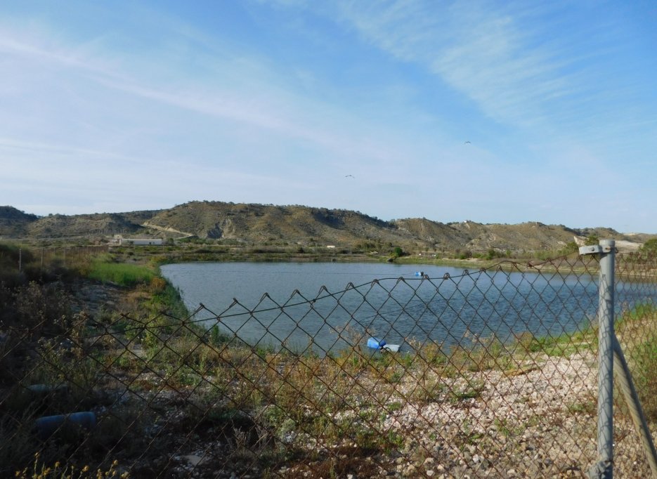 Herverkoop - Perceel / Grond - Torremendo