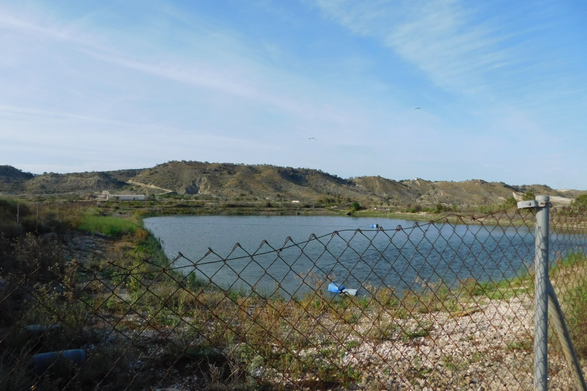 Herverkoop - Perceel / Grond - Torremendo