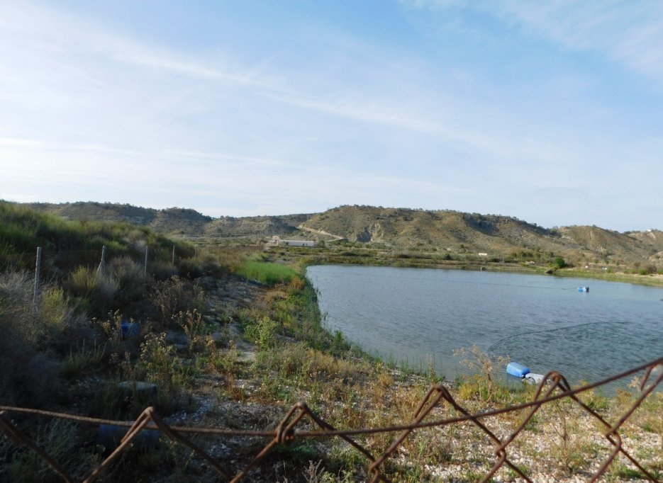 Herverkoop - Perceel / Grond - Torremendo