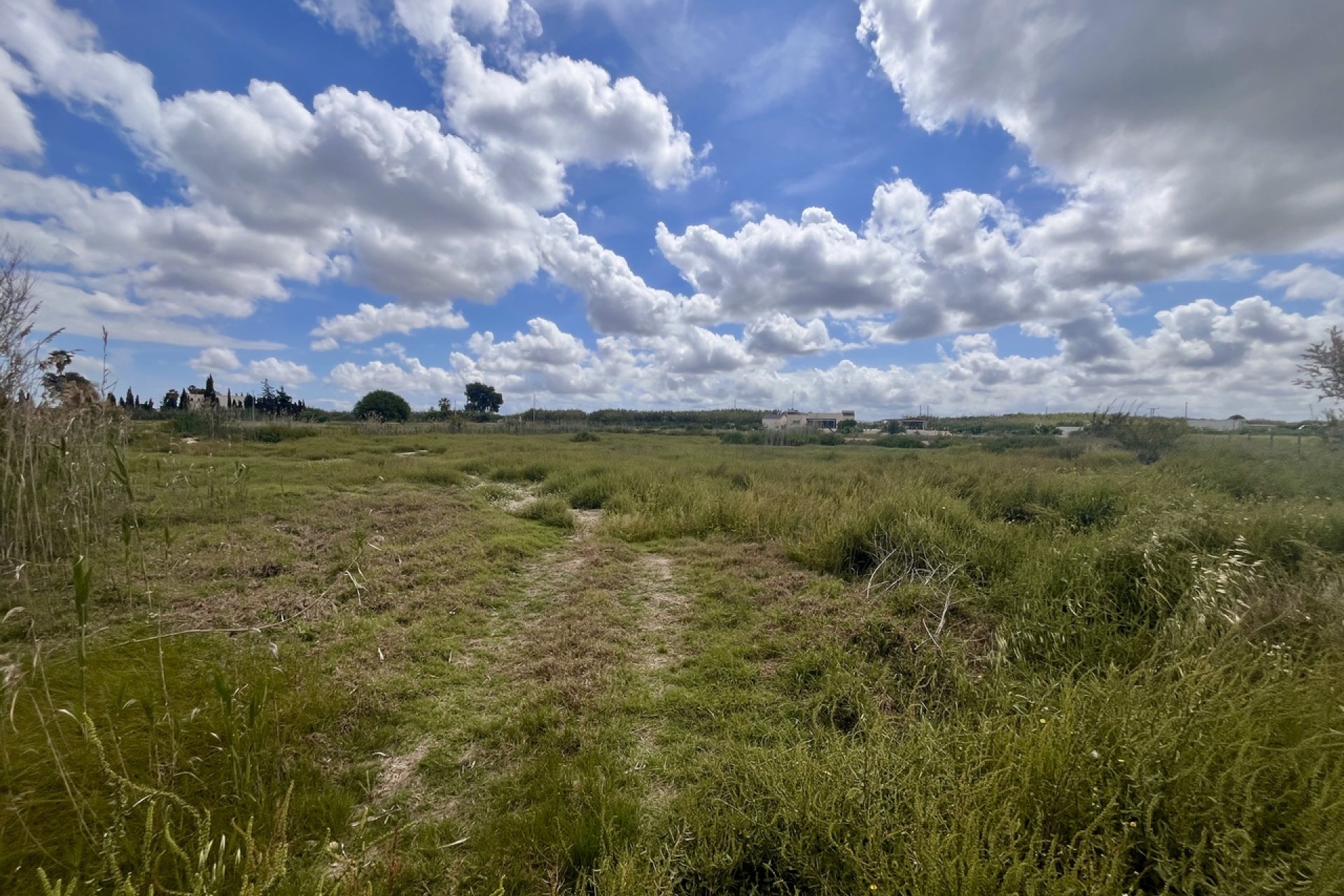 Herverkoop - Plot - Catral