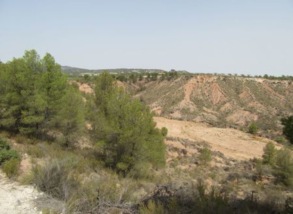 Herverkoop - Plot - Murcia
