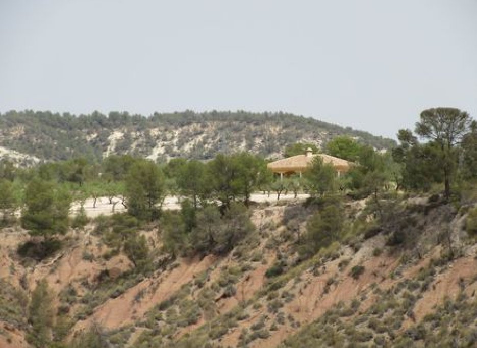 Herverkoop - Plot - Murcia