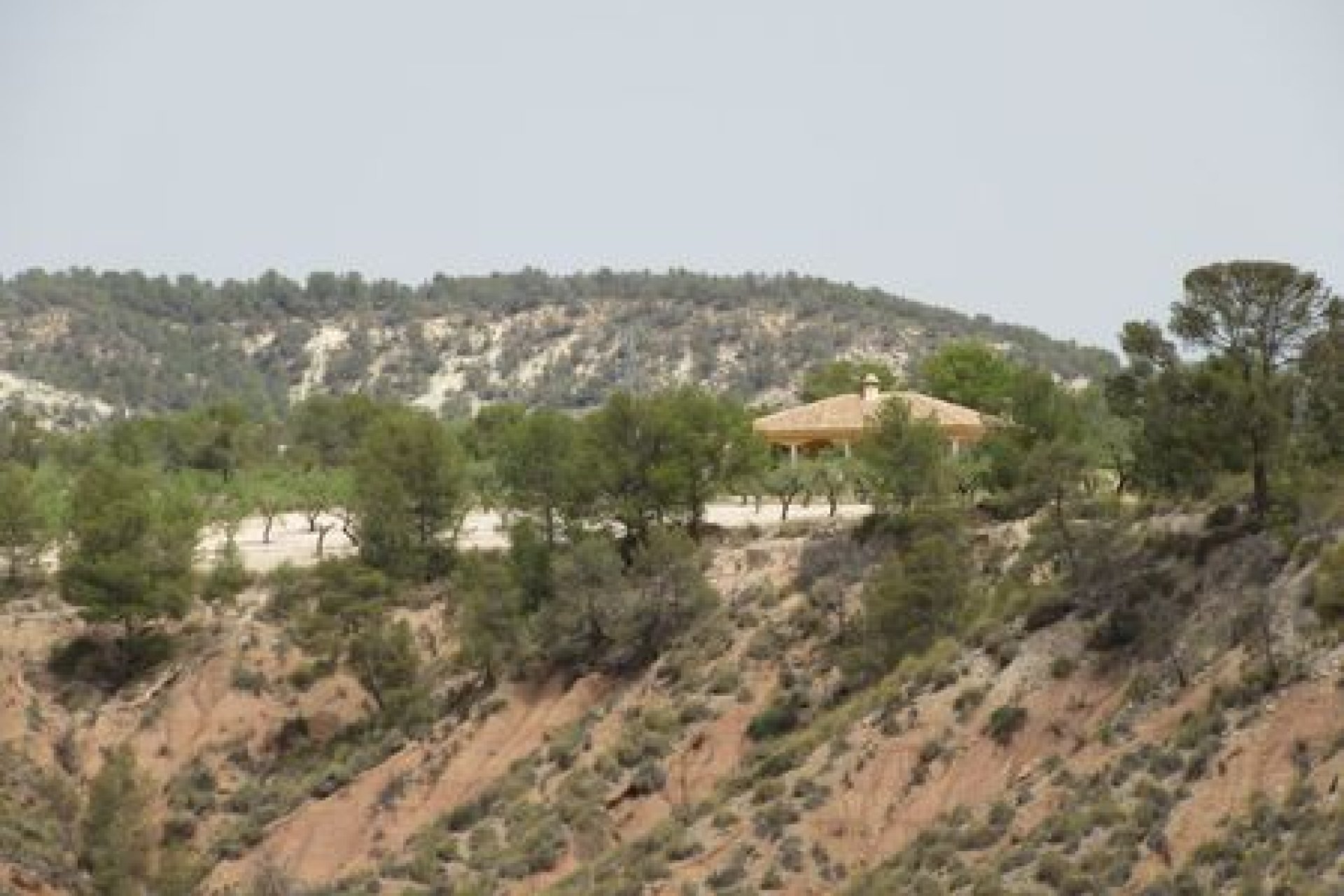 Herverkoop - Plot - Murcia