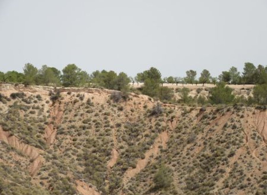 Herverkoop - Plot - Murcia