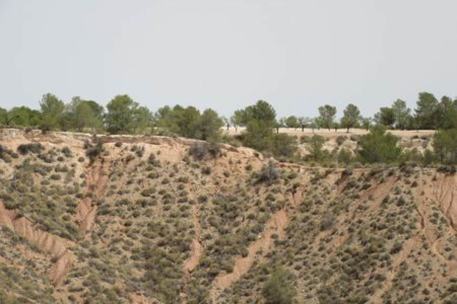 Herverkoop - Plot - Murcia