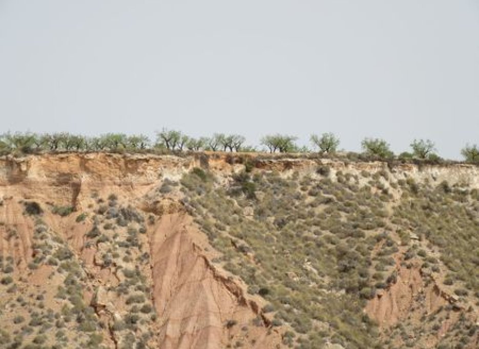 Herverkoop - Plot - Murcia