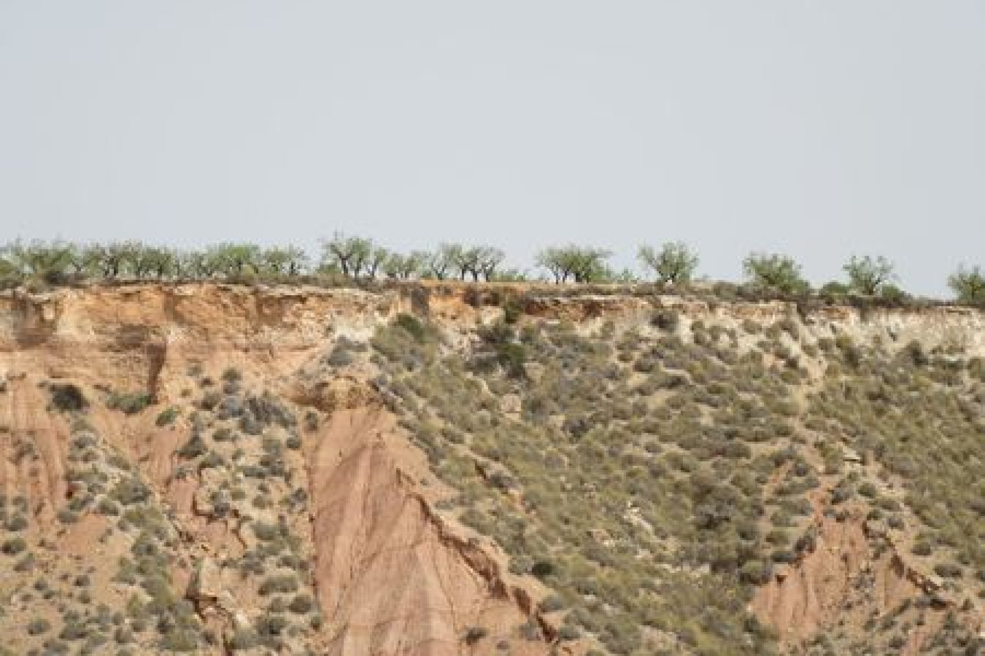 Herverkoop - Plot - Murcia