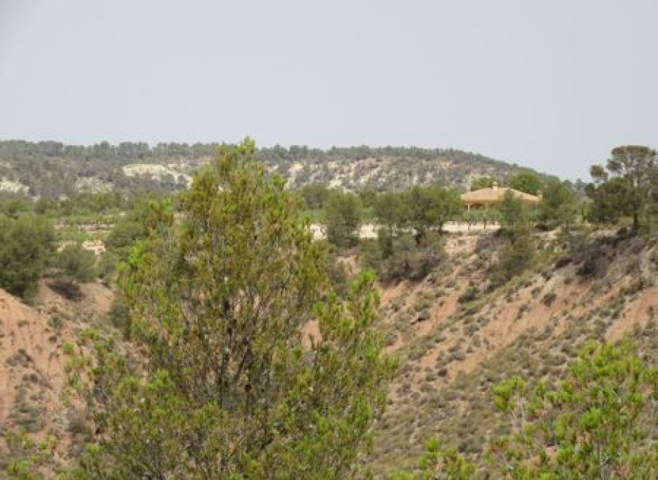 Herverkoop - Plot - Murcia