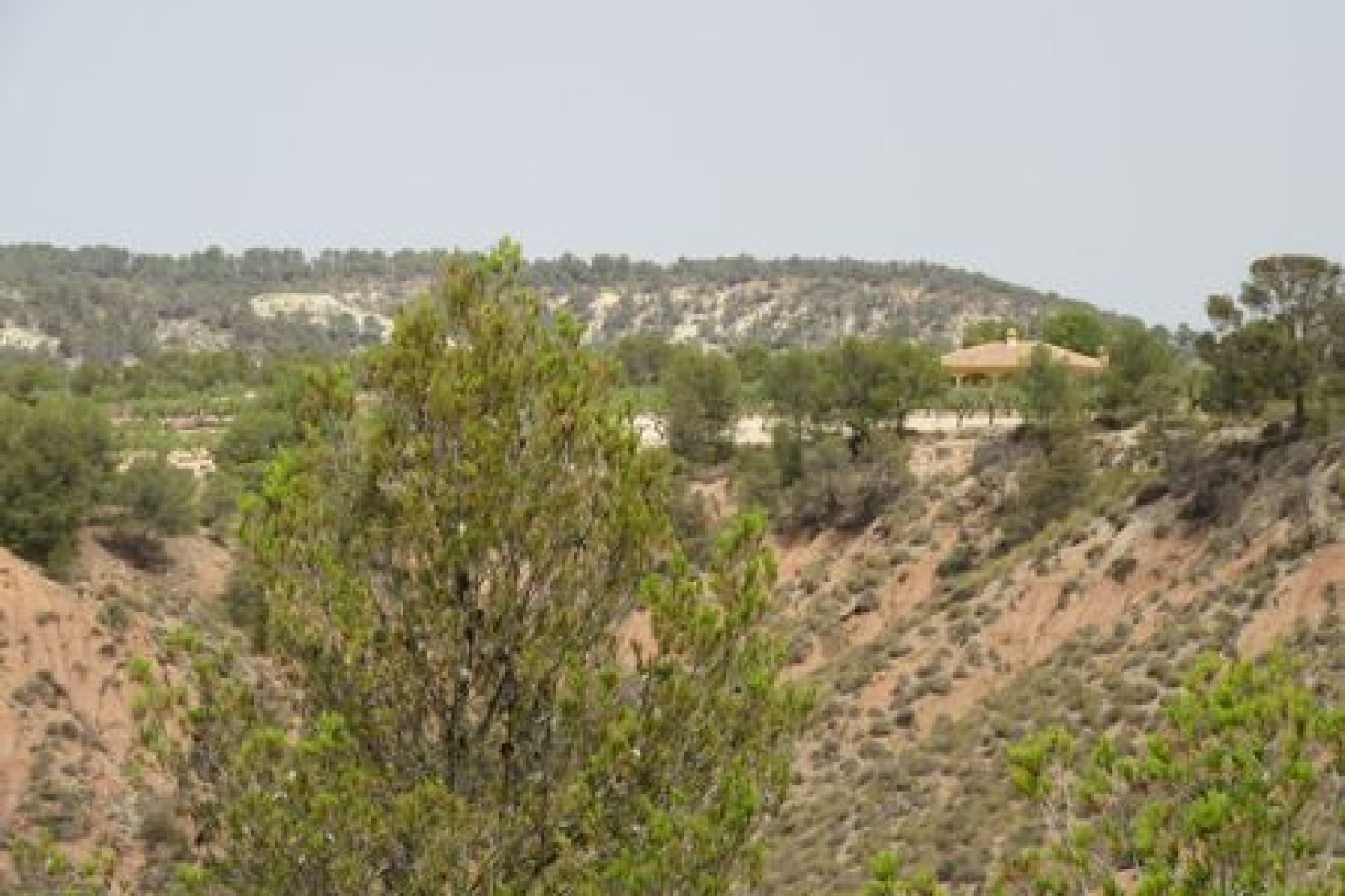 Herverkoop - Plot - Murcia