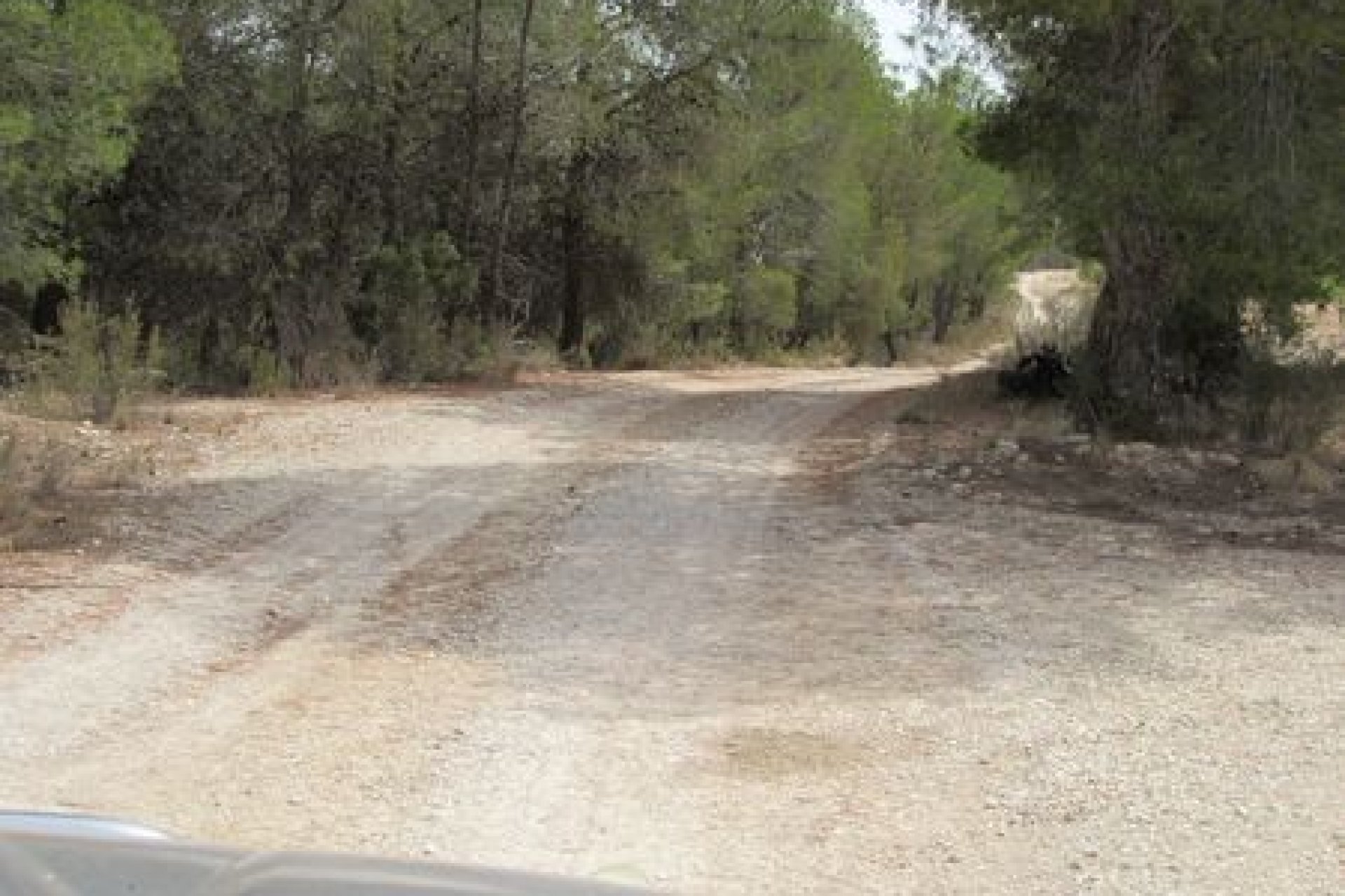 Herverkoop - Plot - Murcia