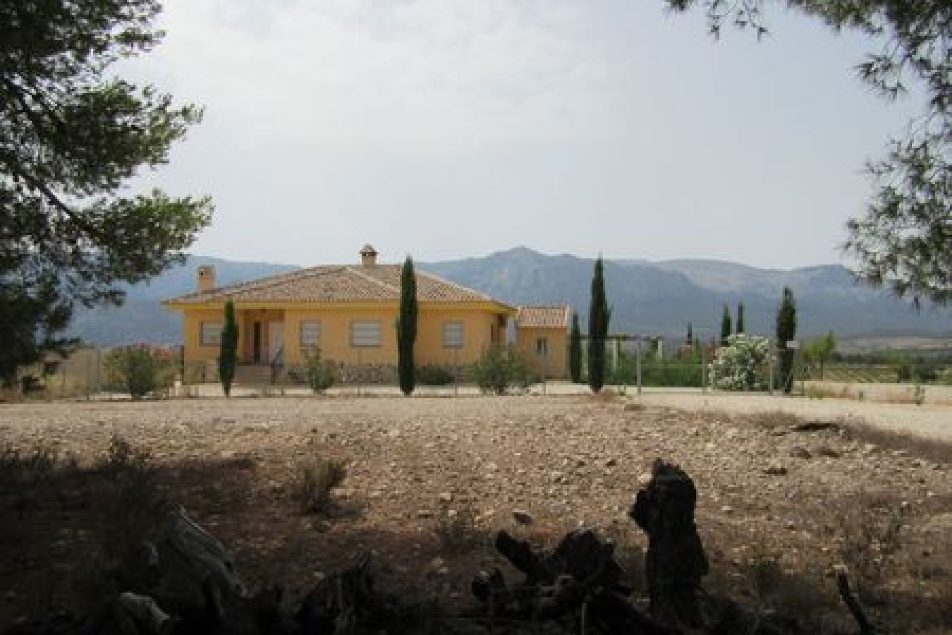 Herverkoop - Plot - Murcia