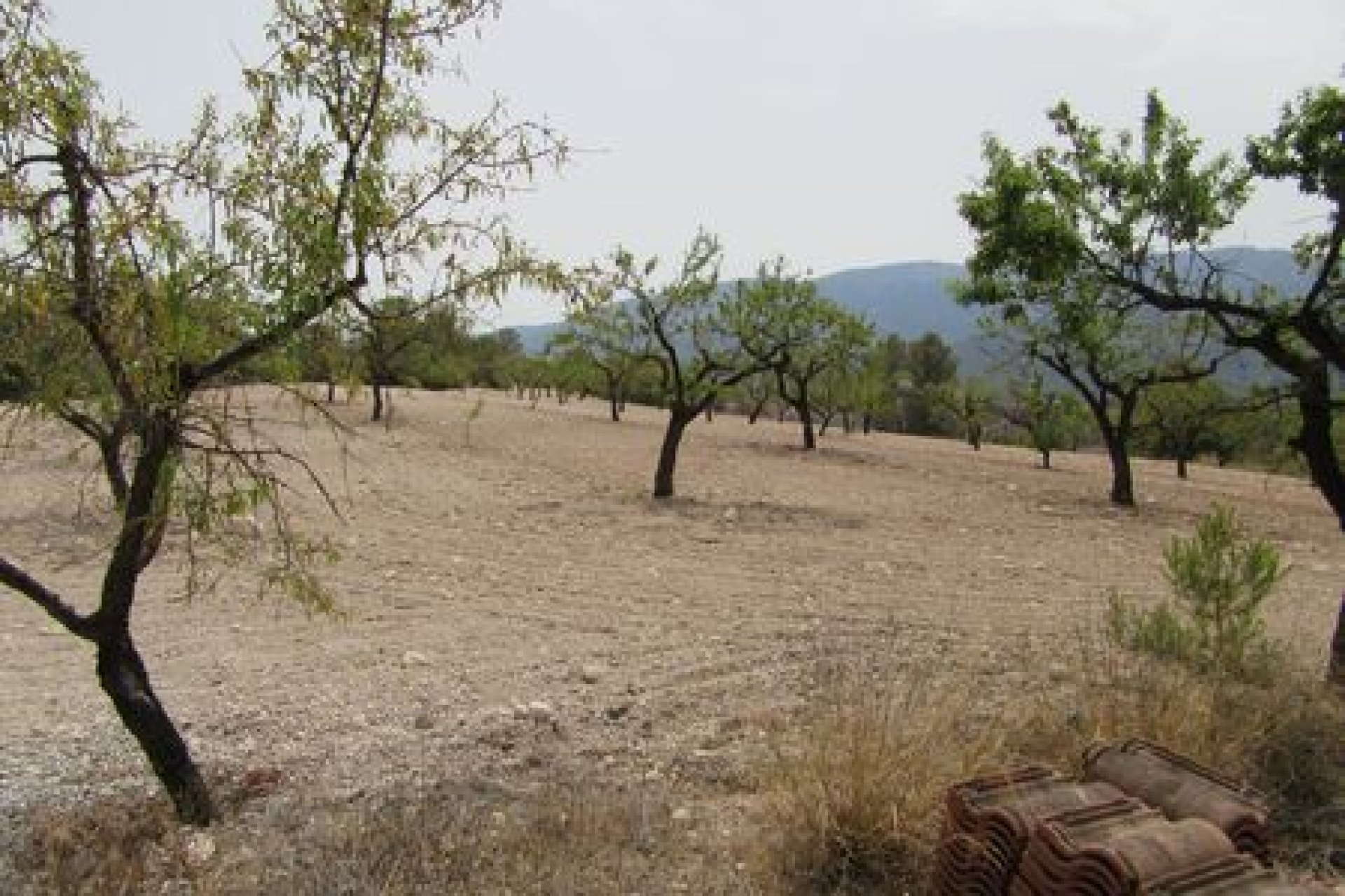 Herverkoop - Plot - Murcia