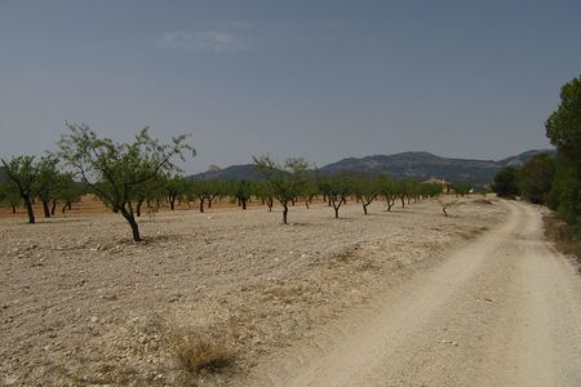 Herverkoop - Plot - Murcia