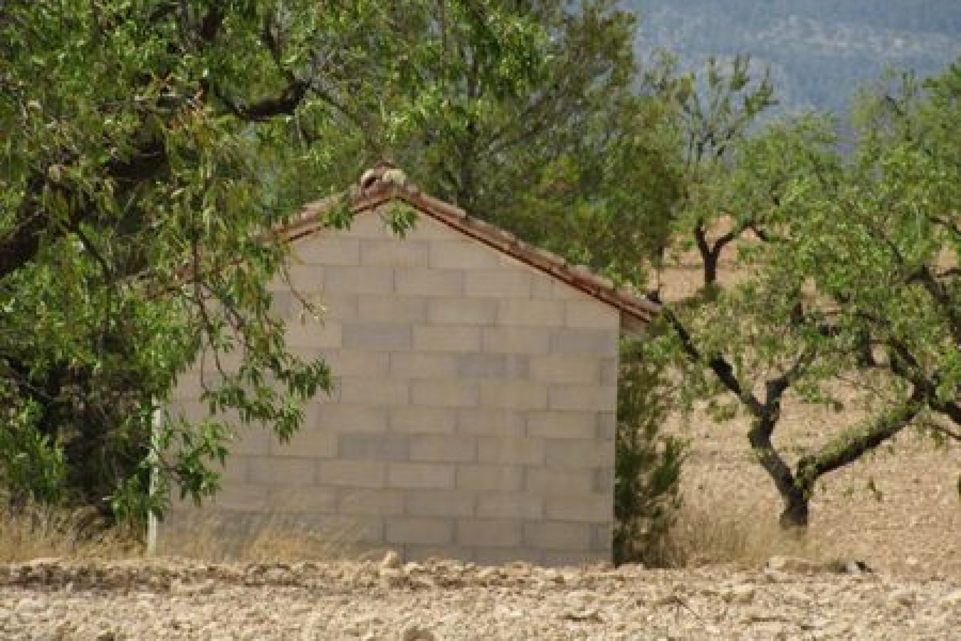 Herverkoop - Plot - Murcia