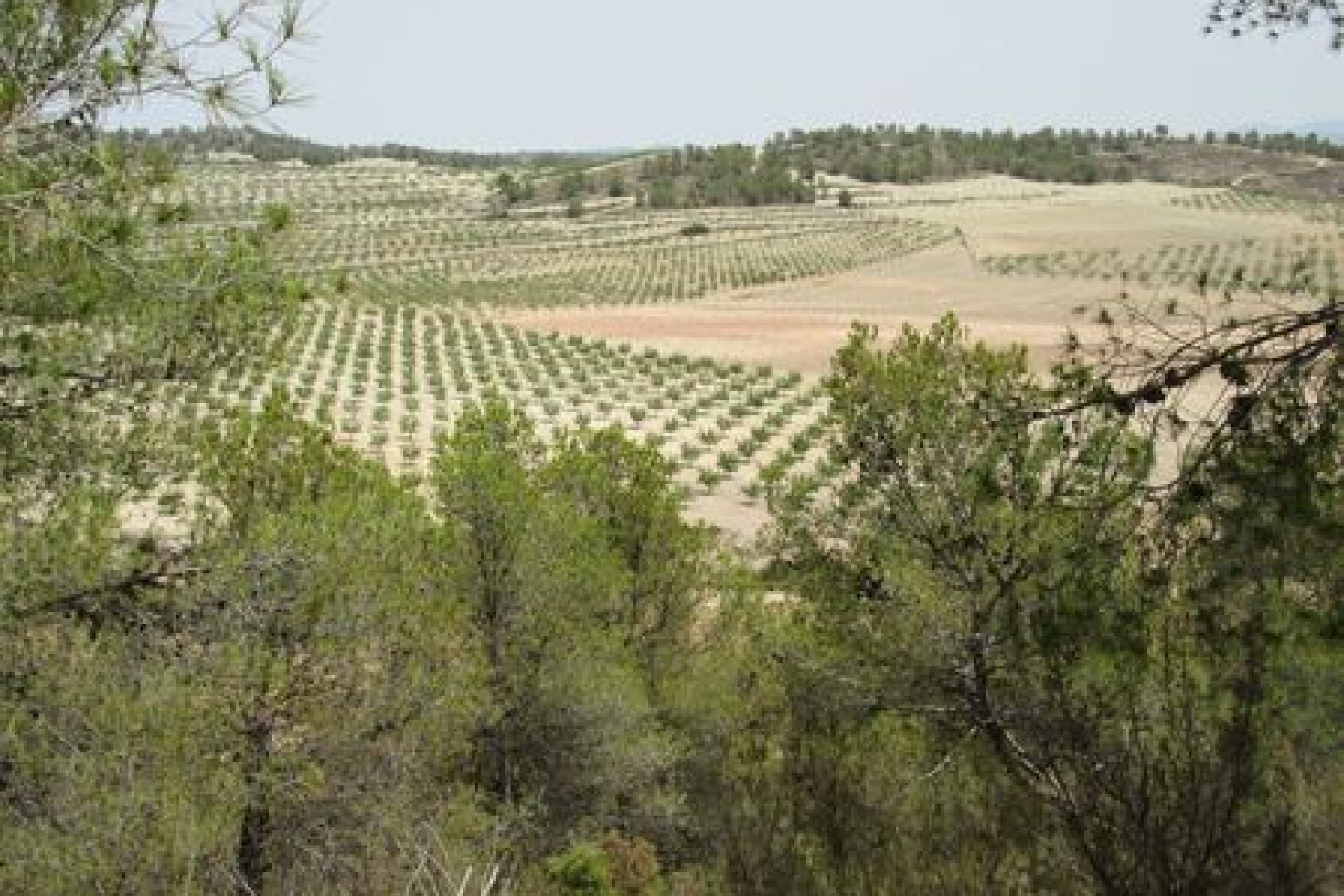 Herverkoop - Plot - Murcia