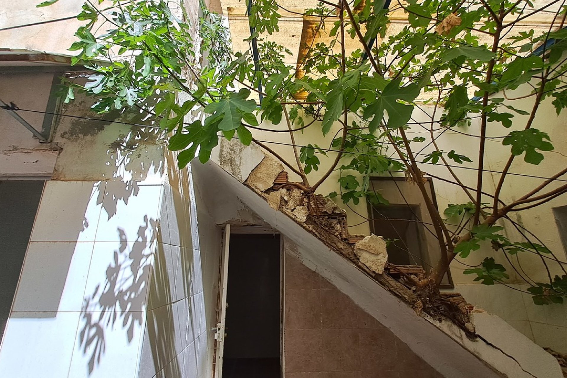 Herverkoop - Reclame - Orihuela