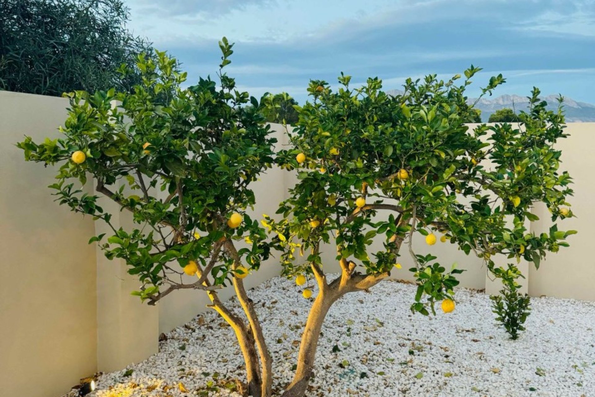 Herverkoop - Villa - Alfas del Pí - pueblo