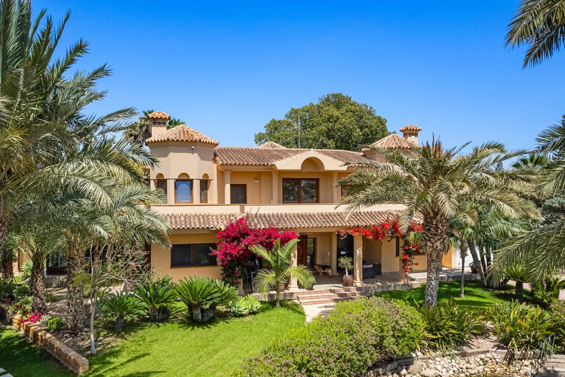 Herverkoop - Villa - Elche/Elx