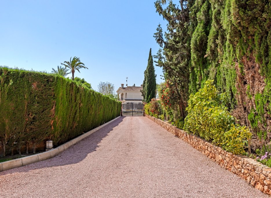 Herverkoop - Villa - Elche/Elx