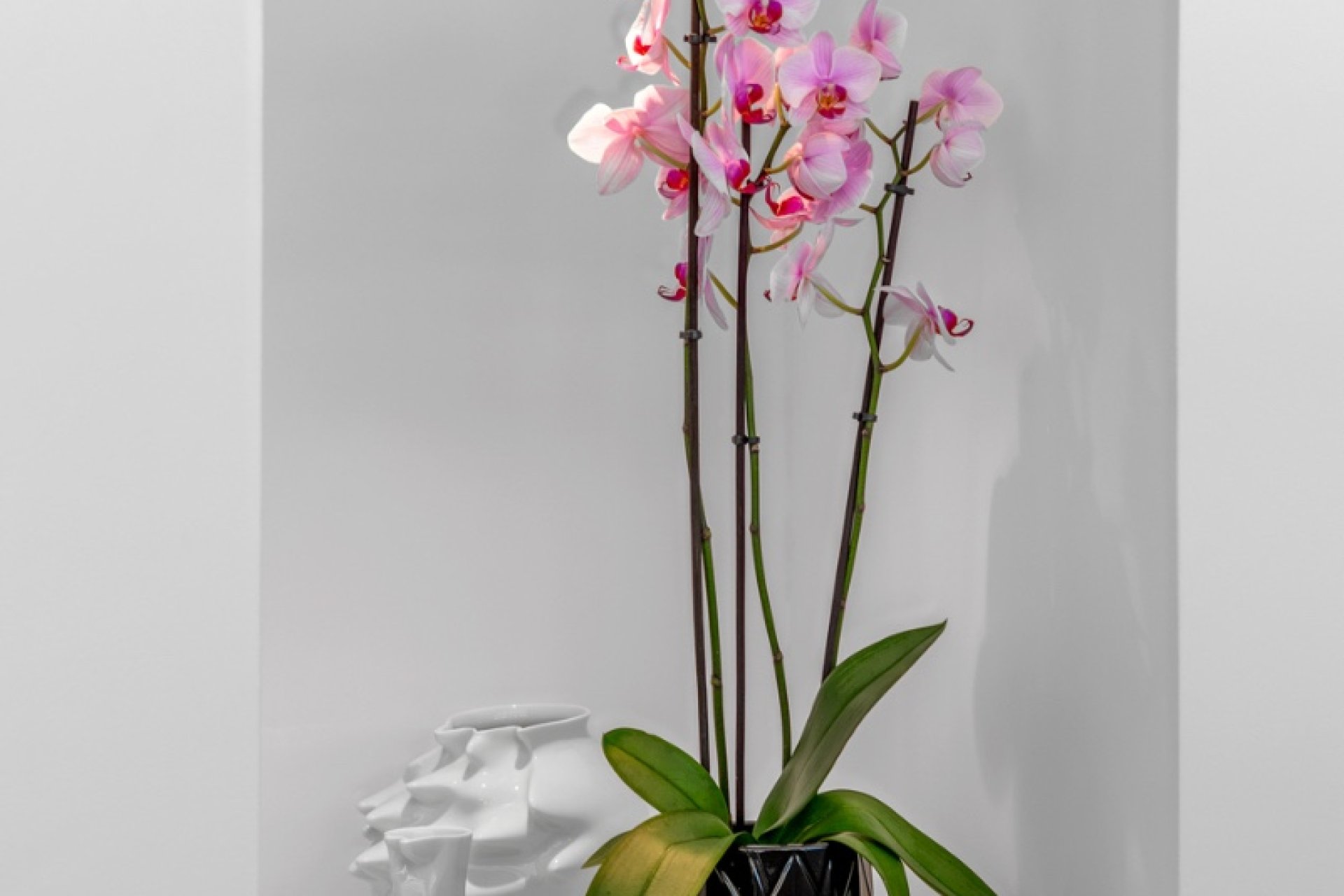 Herverkoop - Villa - Guardamar del Segura - Guardamar Del Segura