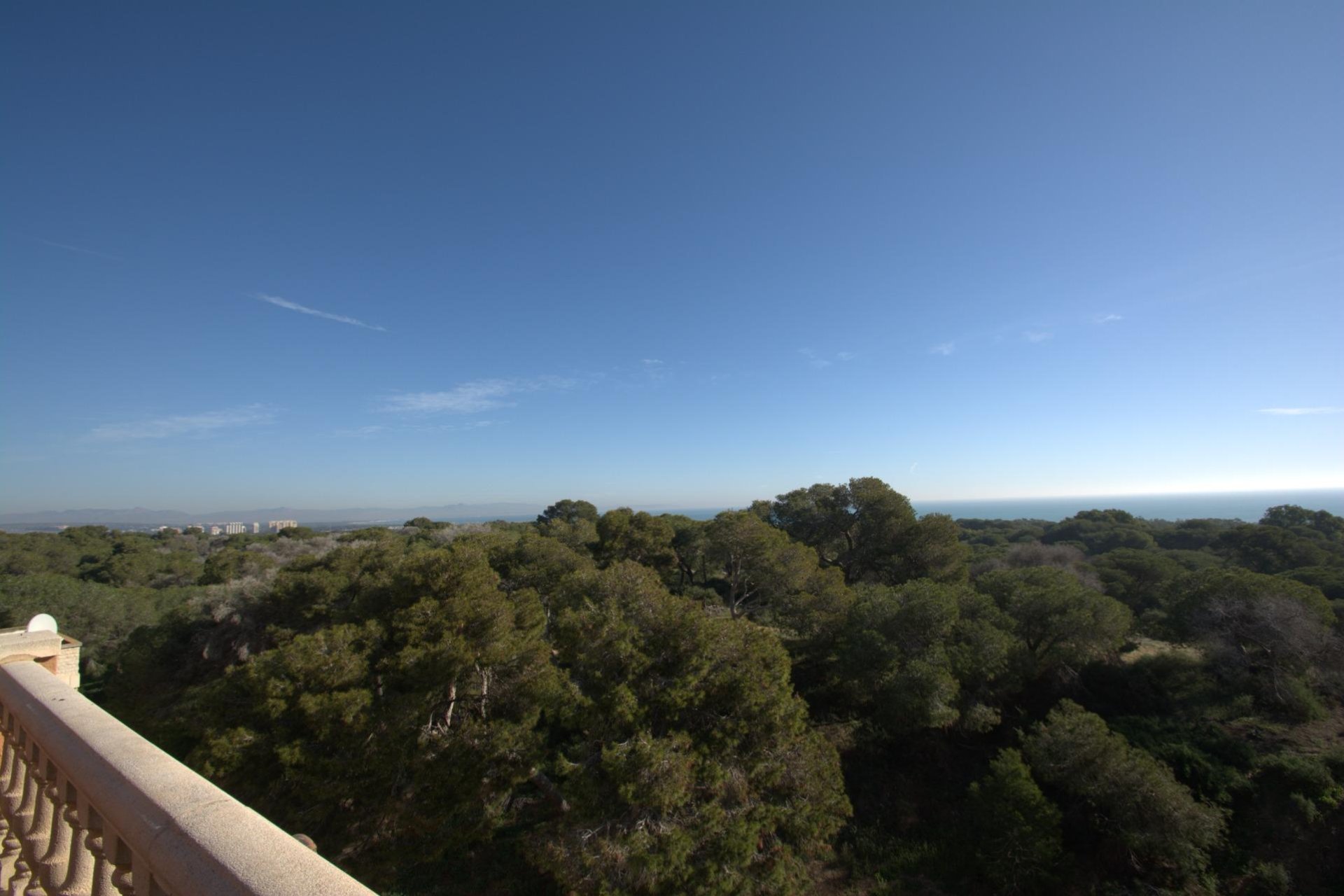 New Build - Apartment - Guardamar del Segura - Pueblo