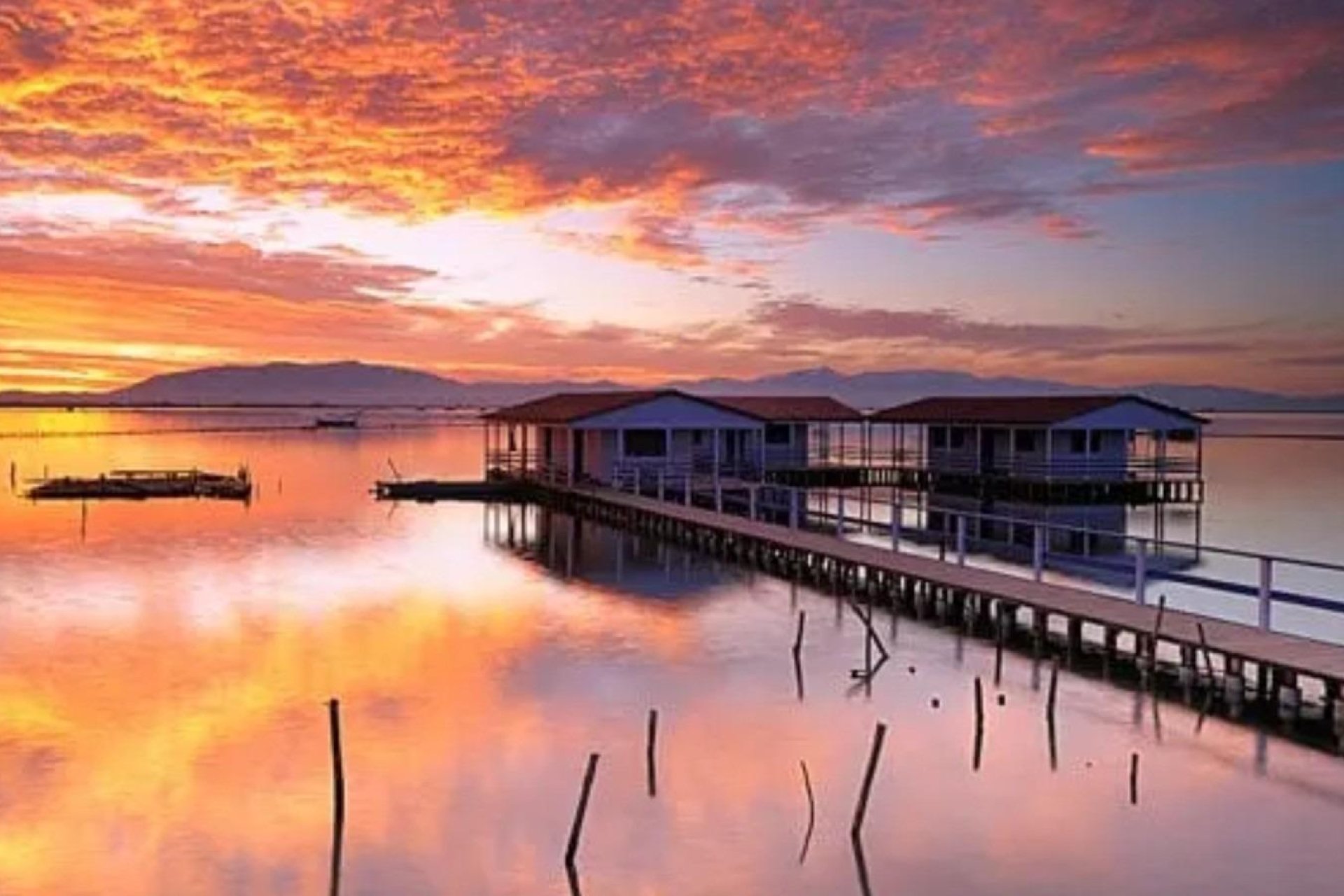 New Build - Ground Floor Bungalow - San Pedro del Pinatar - Los Pinos