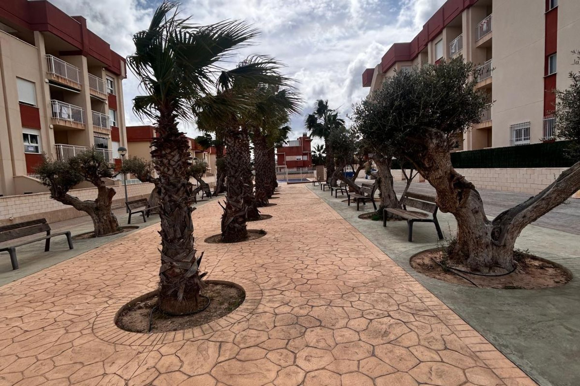 New Build - Penthouse - Orihuela Costa - Lomas de Cabo Roig