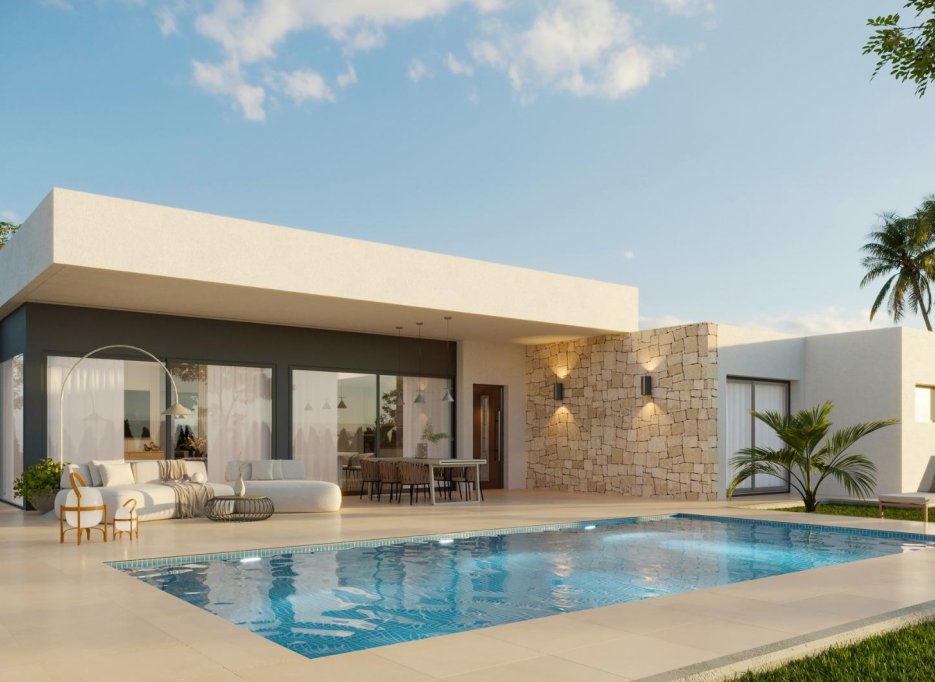New Build - Villa - Aspe - Poligono 19