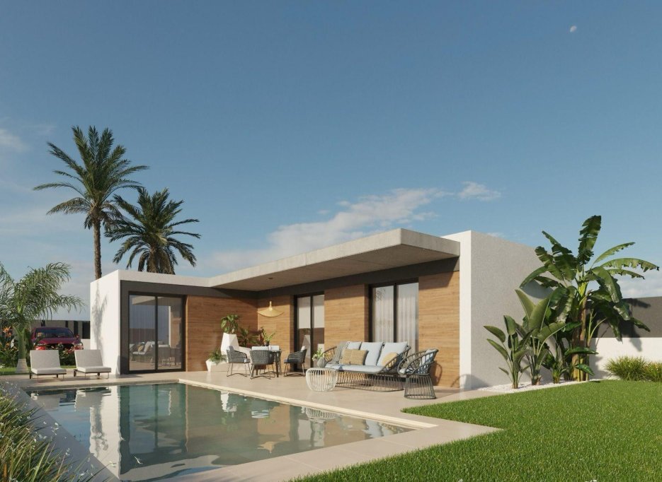 New Build - Villa - Molina De Segura - Urb. La Quinta