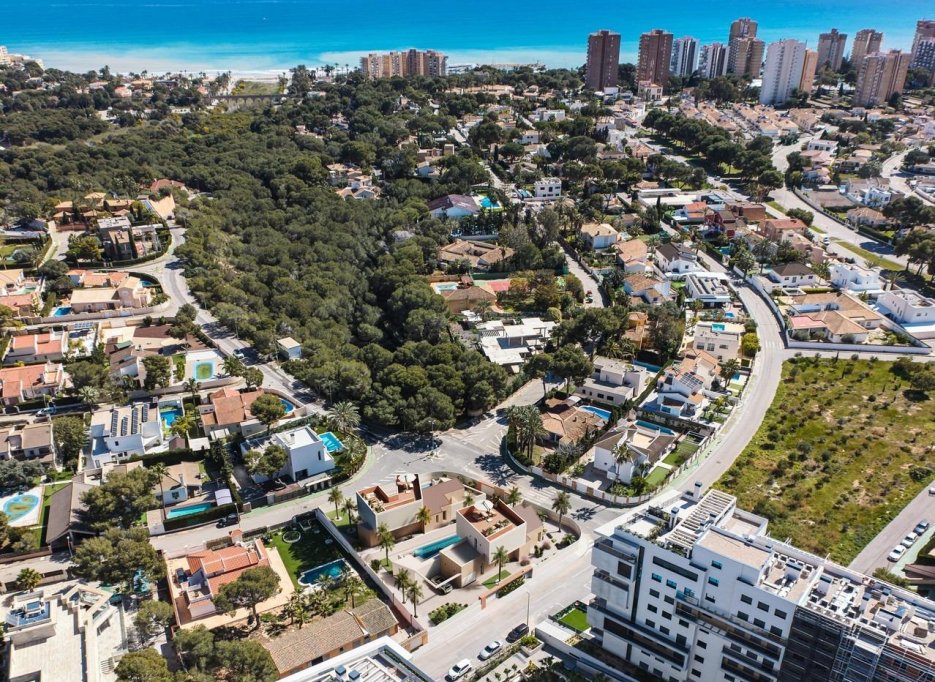 New Build - Villa - Orihuela Costa - Dehesa de campoamor