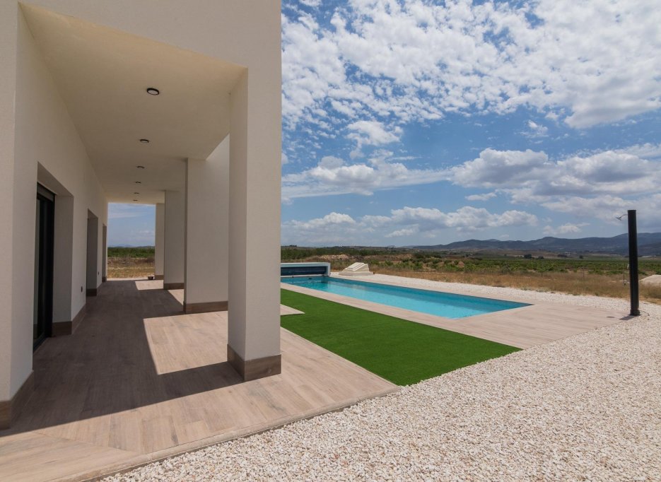 New Build - Villa - Pinoso - Campo