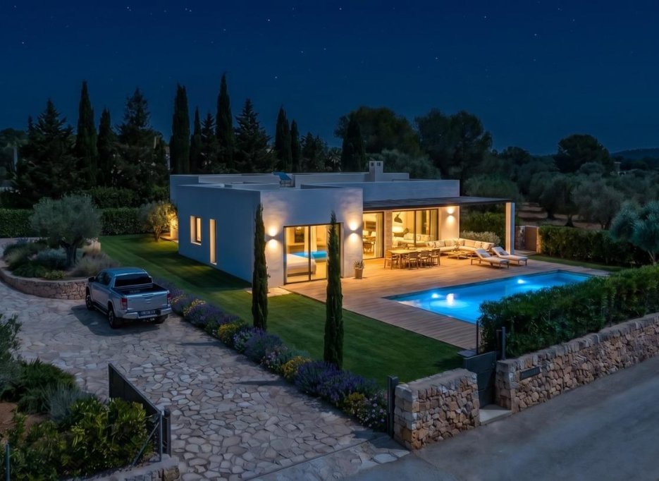 New Build - Villa - Pinoso - Casas Pastor