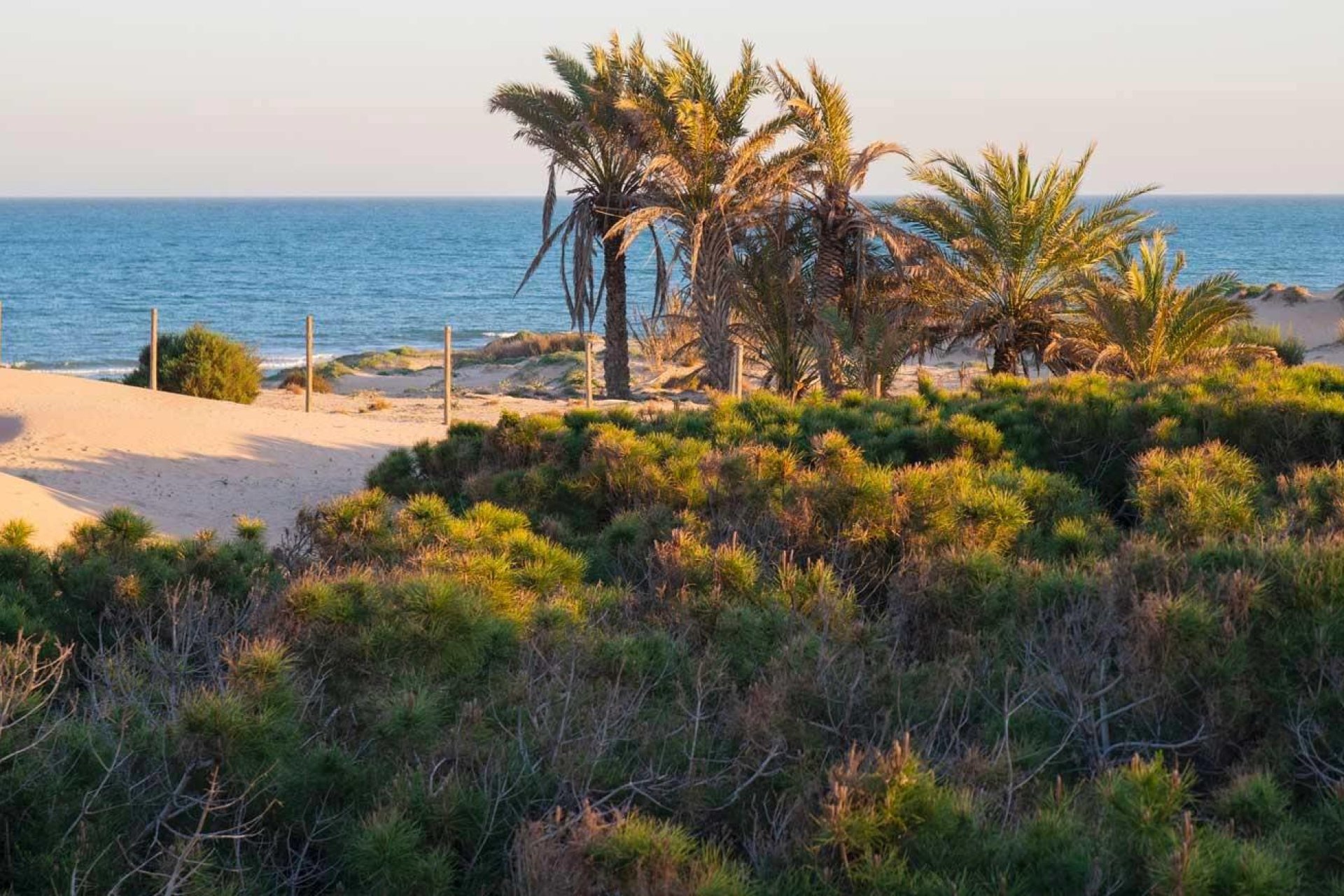 Nieuwbouw  - Apartment - Guardamar del Segura - Avda del Puerto