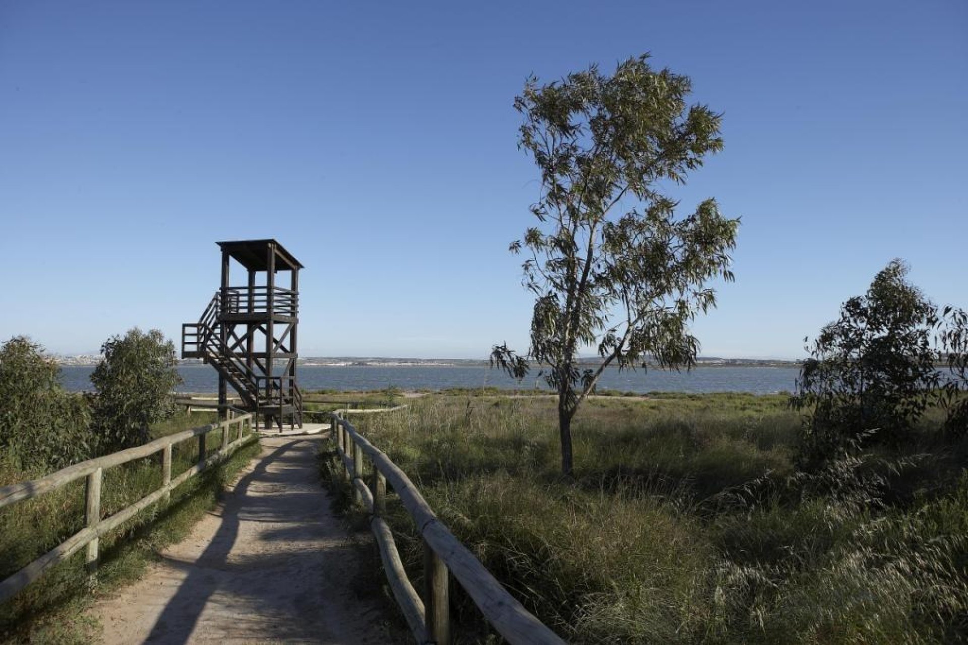 Nieuwbouw  - Apartment - San Miguel de Salinas - Pueblo